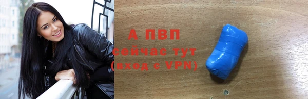 стафф Бородино