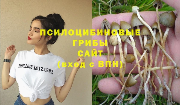 соль курить ск Верея
