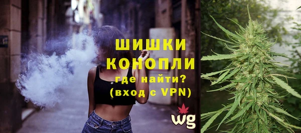 стафф Бородино