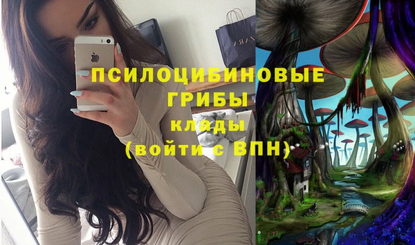 стафф Бородино
