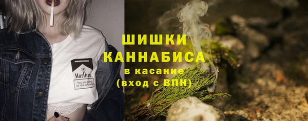 стаф Бронницы